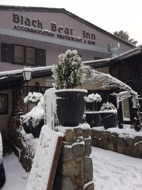 Black Bear Inn Thredbo Eksteriør bilde